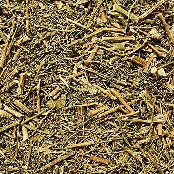paico seco para infusión al por mayor