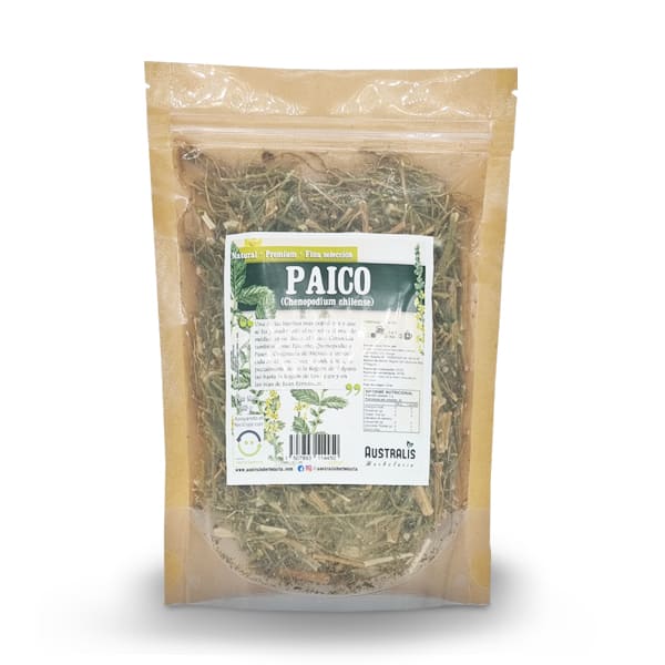 Paico seco para infusión