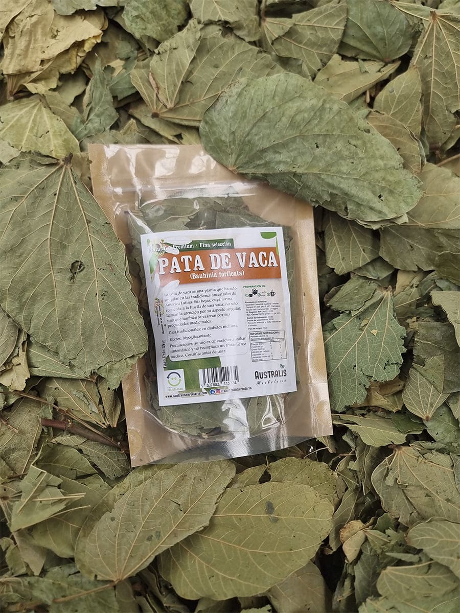 Hierba seca de pata de vaca natural para tés e infusiones