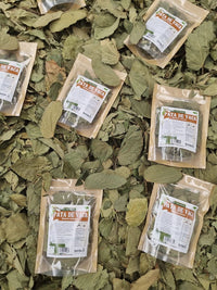 Bauhinia forficata seca presentada como hierba natural para infusión