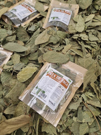 Pata de vaca seca a granel para preparación de té herbal