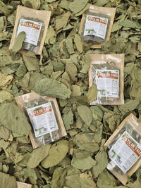 Hojas de Bauhinia forficata secas para infusión natural