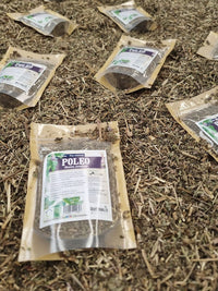 Mentha pulegium seca para infusión de aroma mentolado
