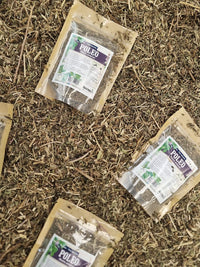 Poleo hierba seca natural para preparar té digestivo