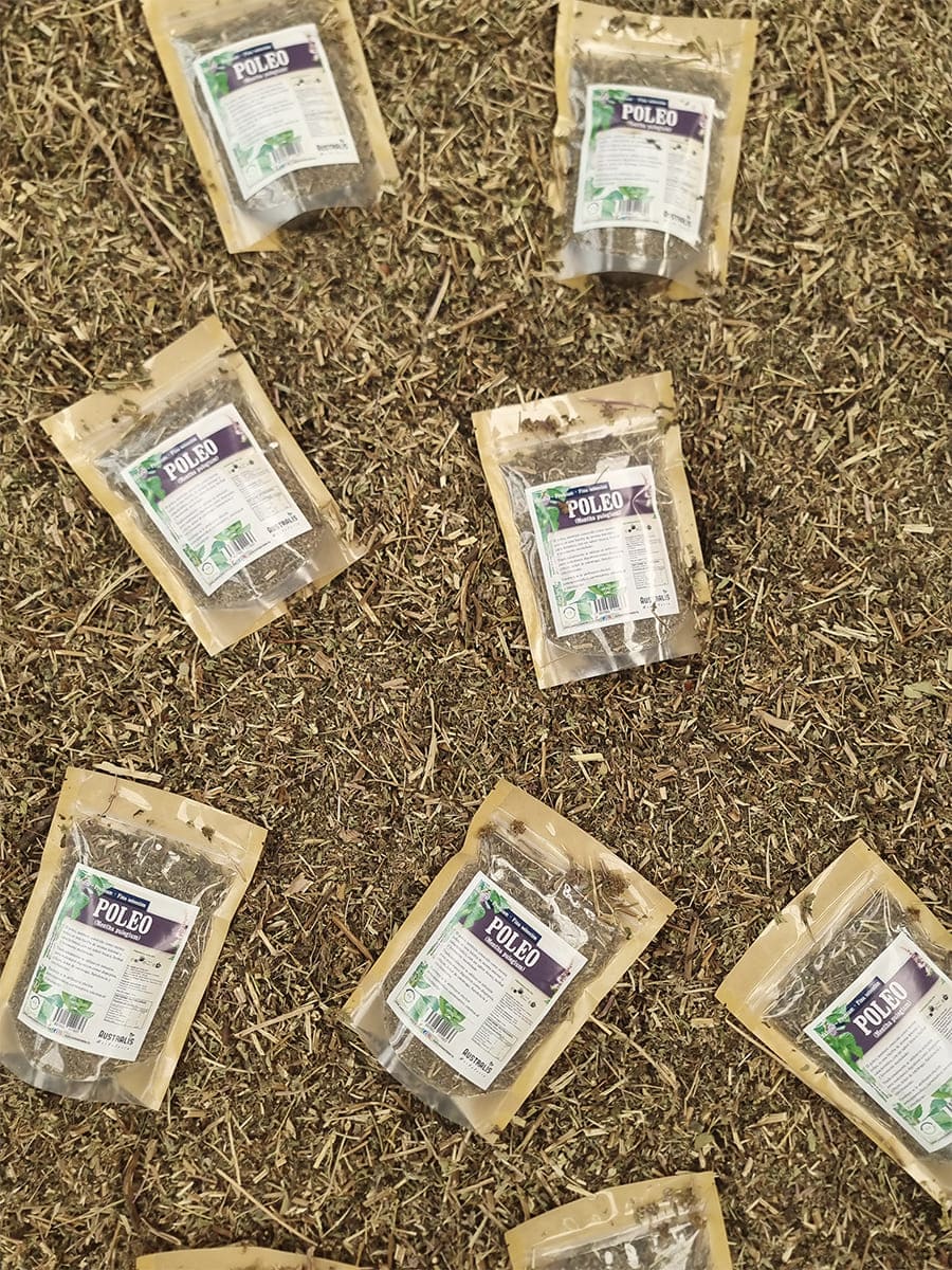 Hojas secas de poleo Mentha pulegium para infusión