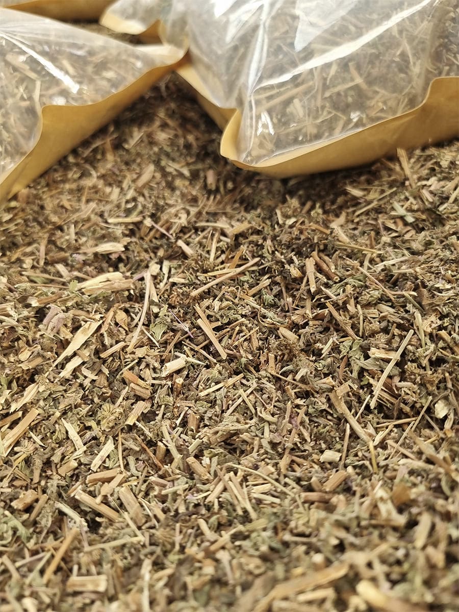 Poleo hierba natural seca de aroma fresco y mentolado