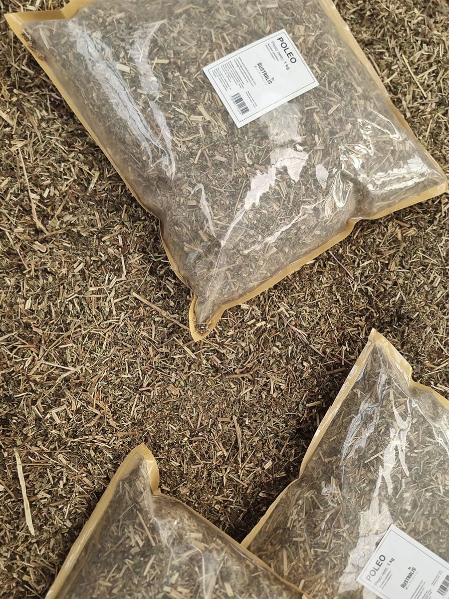 Poleo natural para té herbal en formato 1 kilo de hierba seca