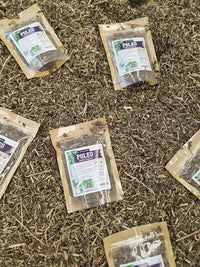 Hierba seca de poleo para preparar infusiones digestivas