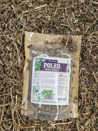 Poleo natural deshidratado para infusiones herbales