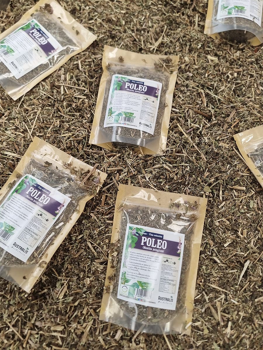 Poleo seco a granel para preparar infusión natural