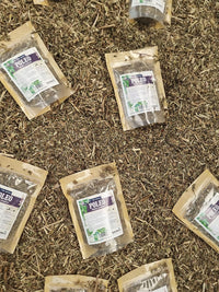 Mentha pulegium en formato seco para té herbal