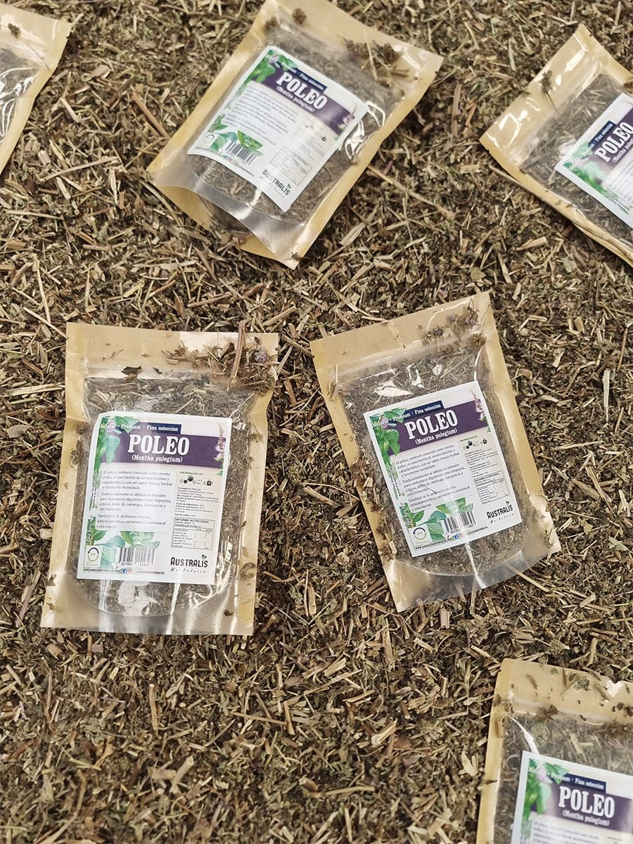 Poleo seco para infusión tradicional de uso digestivo
