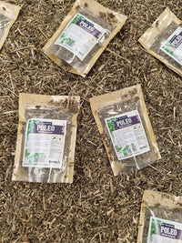 Poleo seco para infusión tradicional de uso digestivo