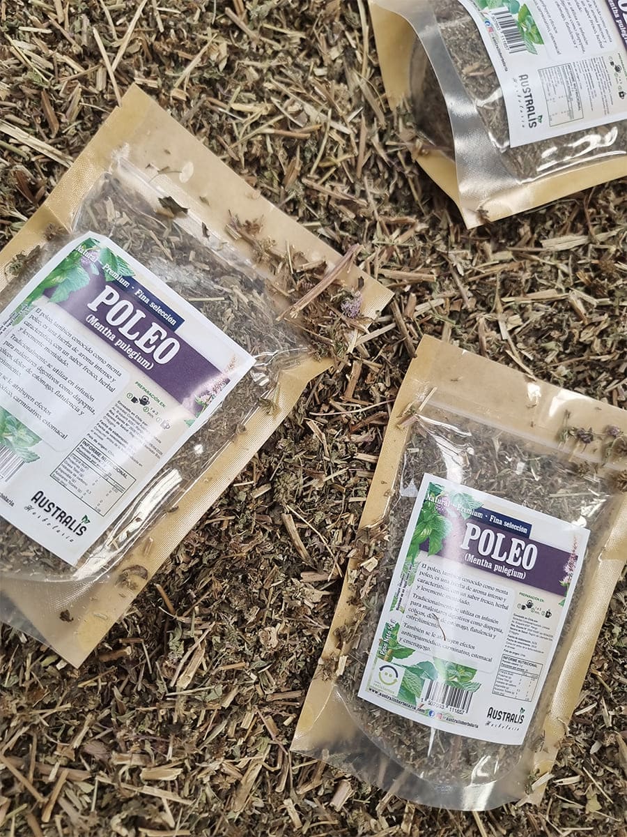 Hierba seca de Mentha pulegium para infusiones naturales