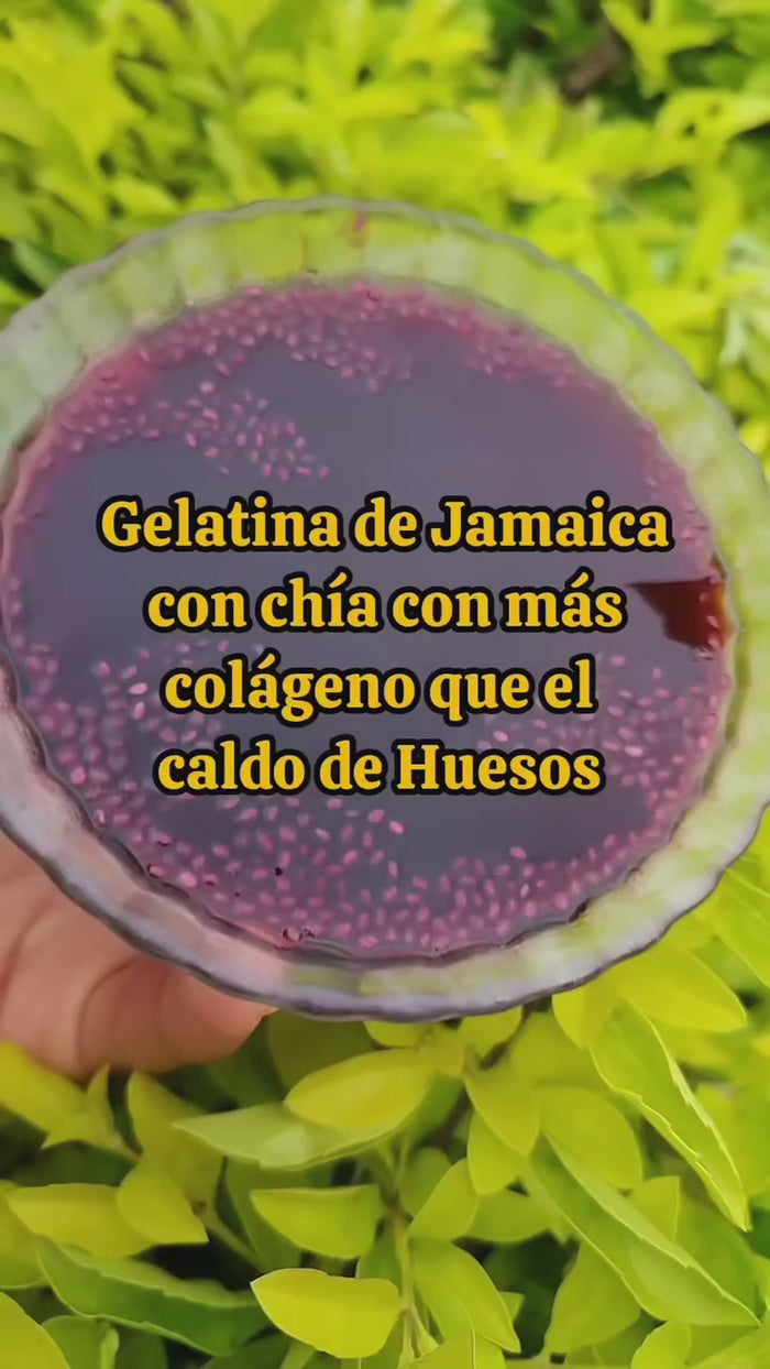 Jalea de Rosa Jamaica con chía Australis Herbolaria