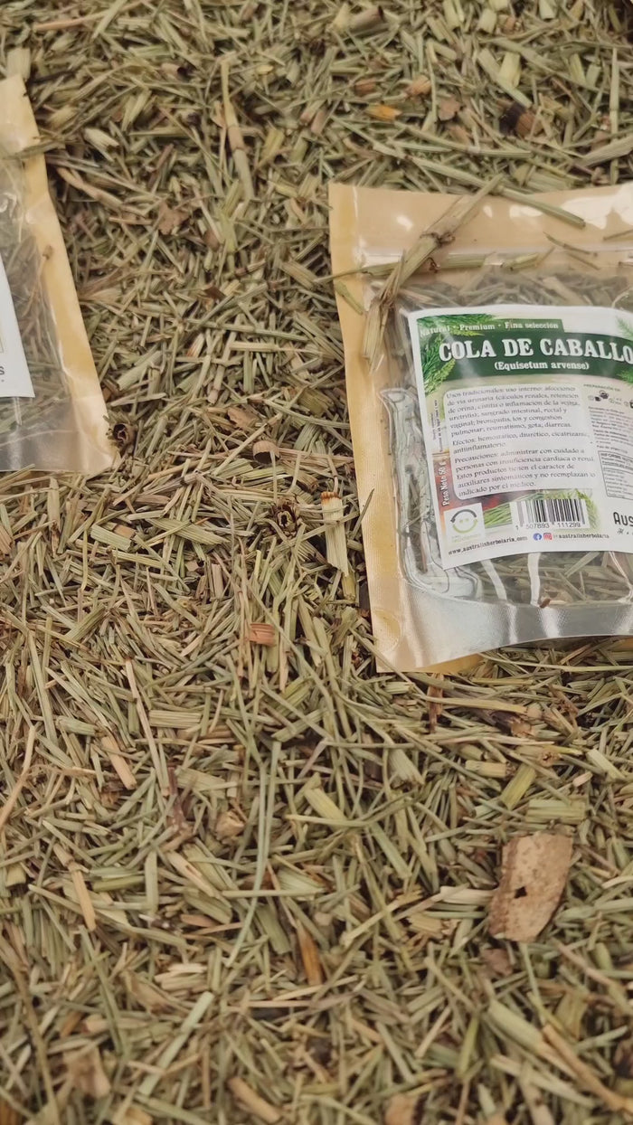 Cola de caballo seca a granel y mayorista para infusión