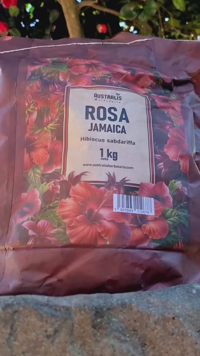 Rosa Jamaica Hibiscus Sabdariffa