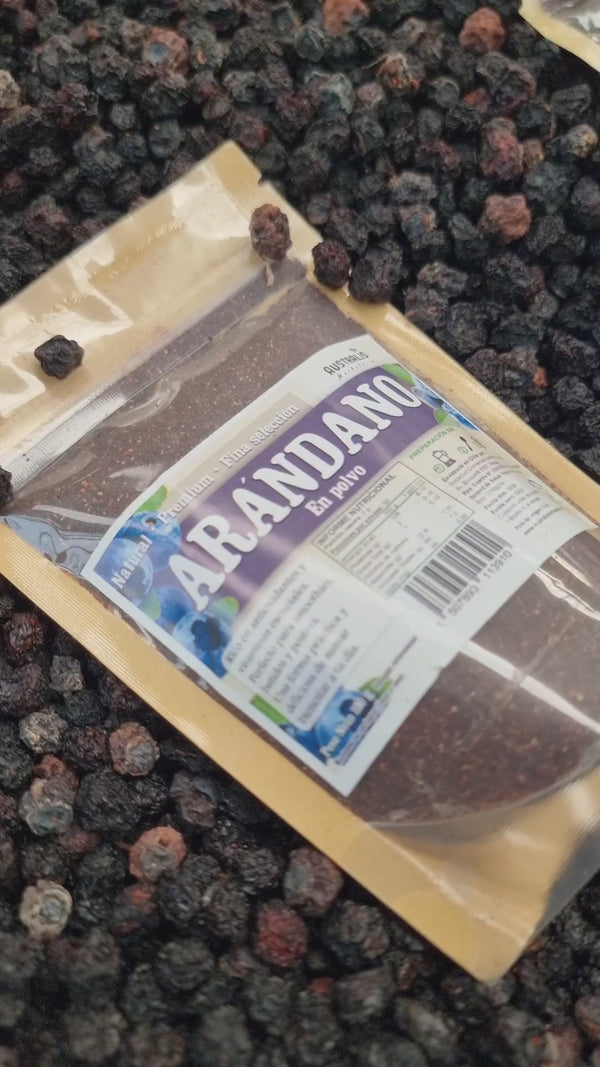 arándano deshidratado y en polvo natural berry 100% natural en Chile12