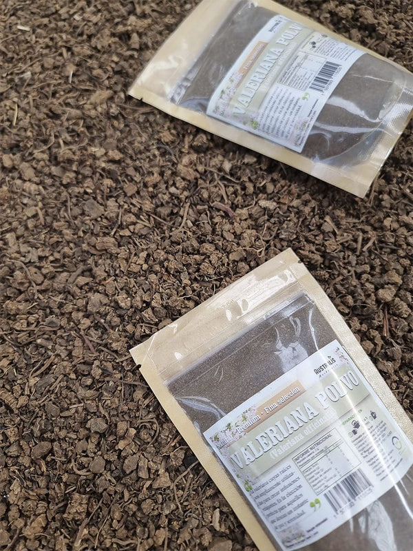 Raíz seca de valeriana en polvo