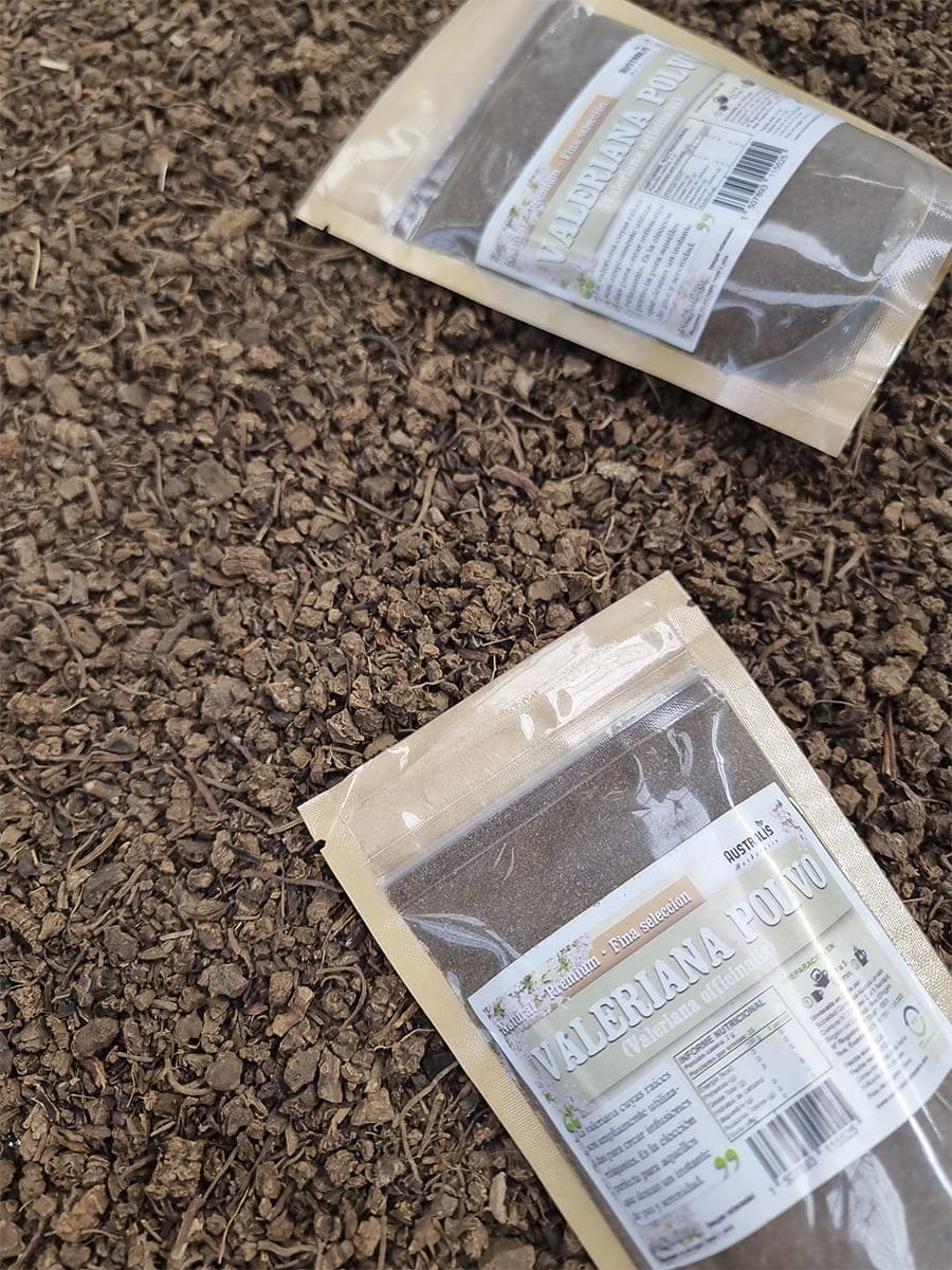 Raíz seca de valeriana en polvo