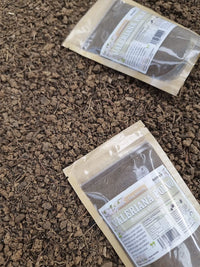 Raíz seca de valeriana en polvo