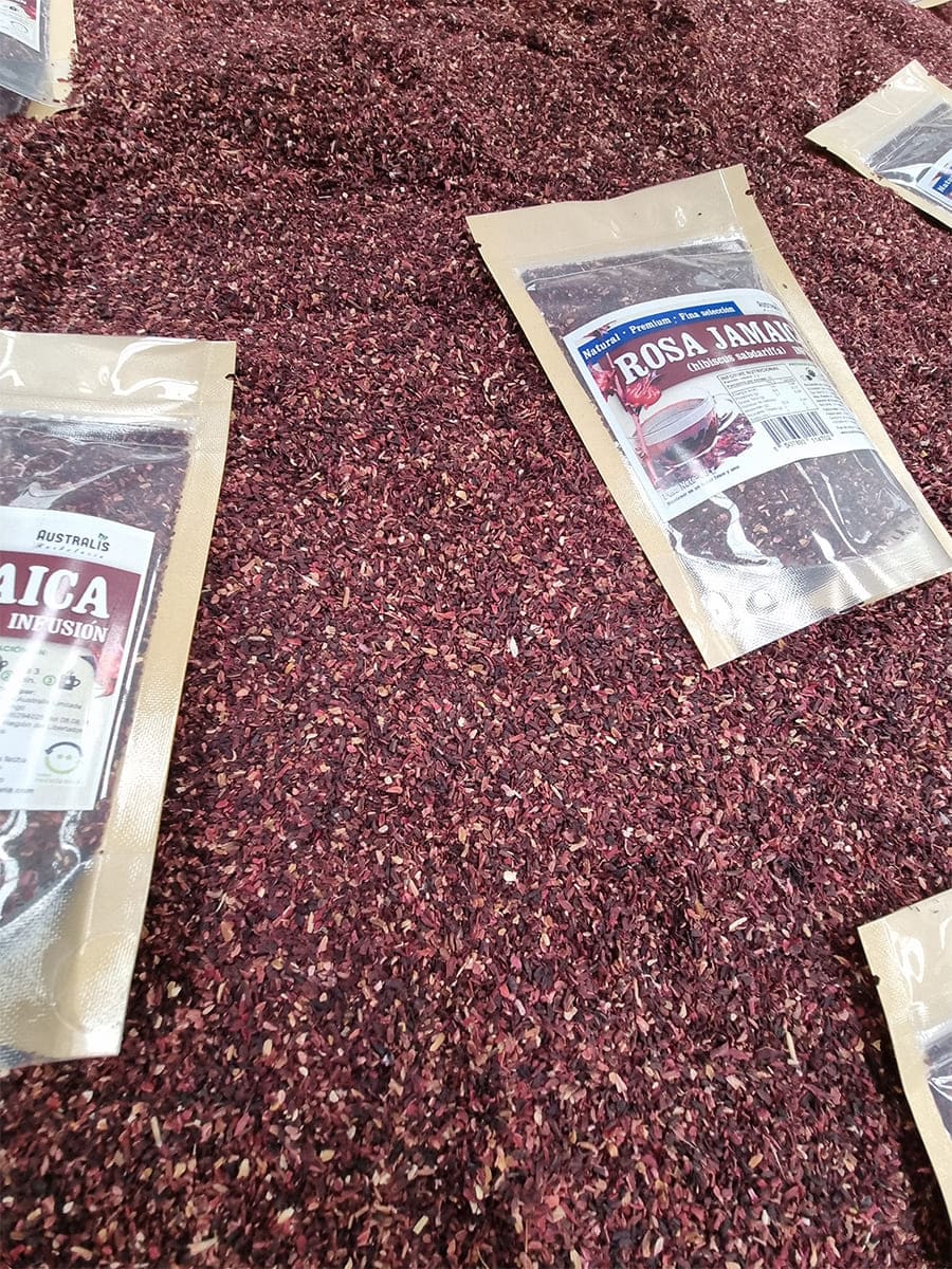 rosa jamaica ideal para té en bolsita