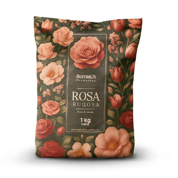 Rosa Rugosa por Kilo