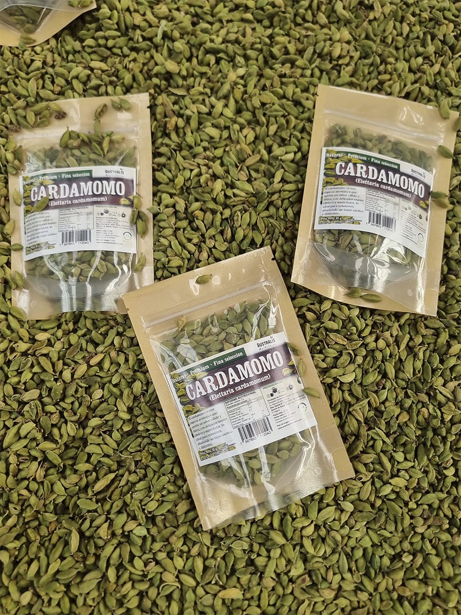 Semillas de cardamomo entero sobre fondo de especias verdes