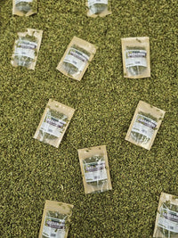 Cardamomo entero verde en vaina con envase de producto natural