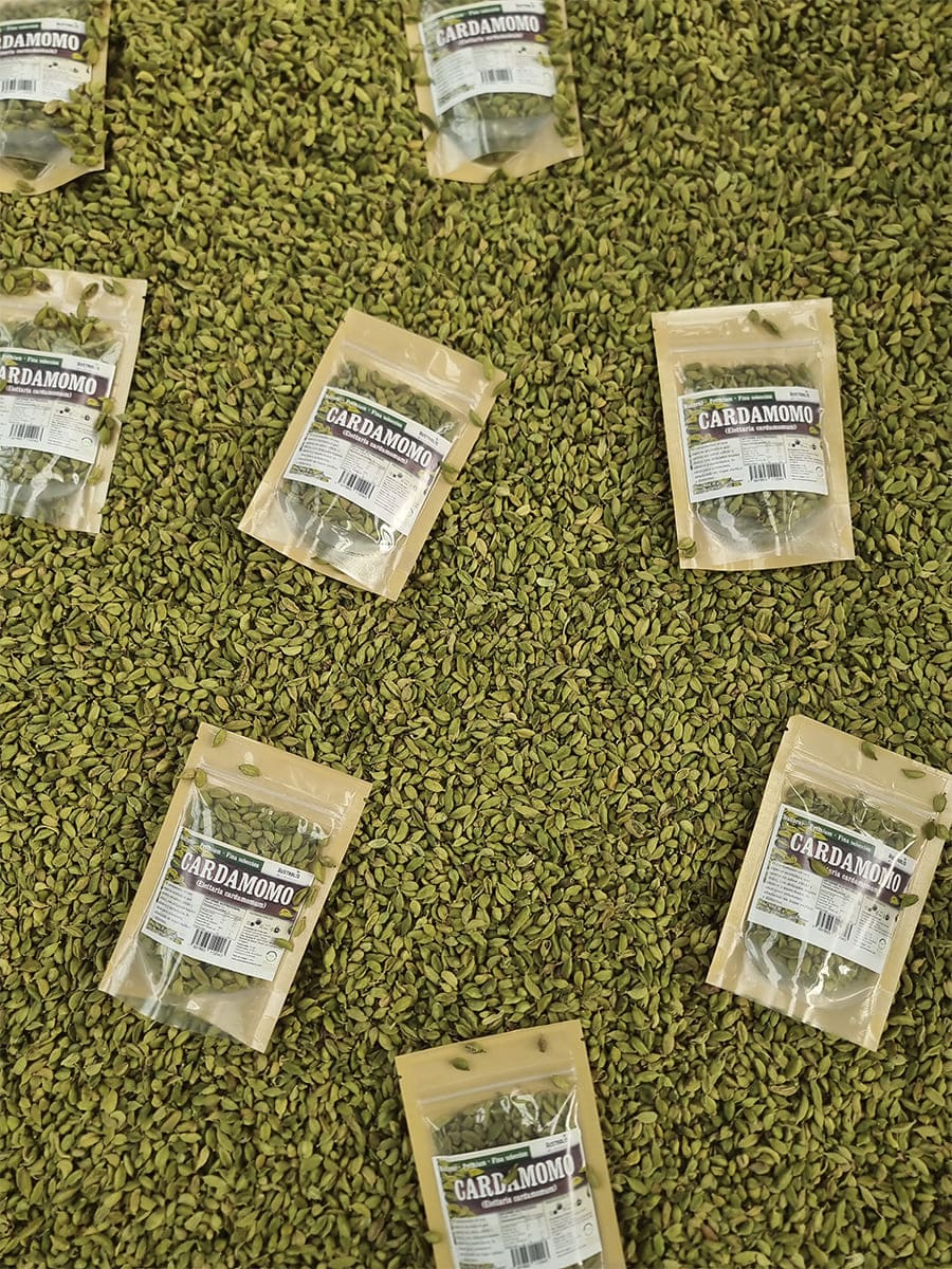 Cardamomo entero natural en formato envasado para cocina e infusiones