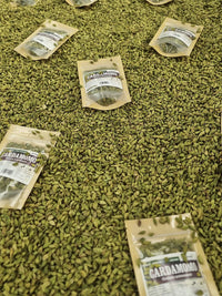 Vainas de cardamomo verde entero usadas como especia aromática