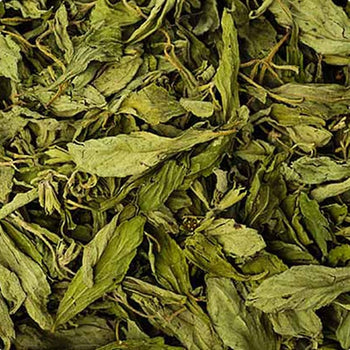 Stevia Rebaudiana por kilo