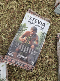 Polvo verde de hojas molidas de Stevia rebaudiana visto de cerca