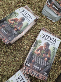 Stevia rebaudiana pulverizada directamente de la hoja seca
