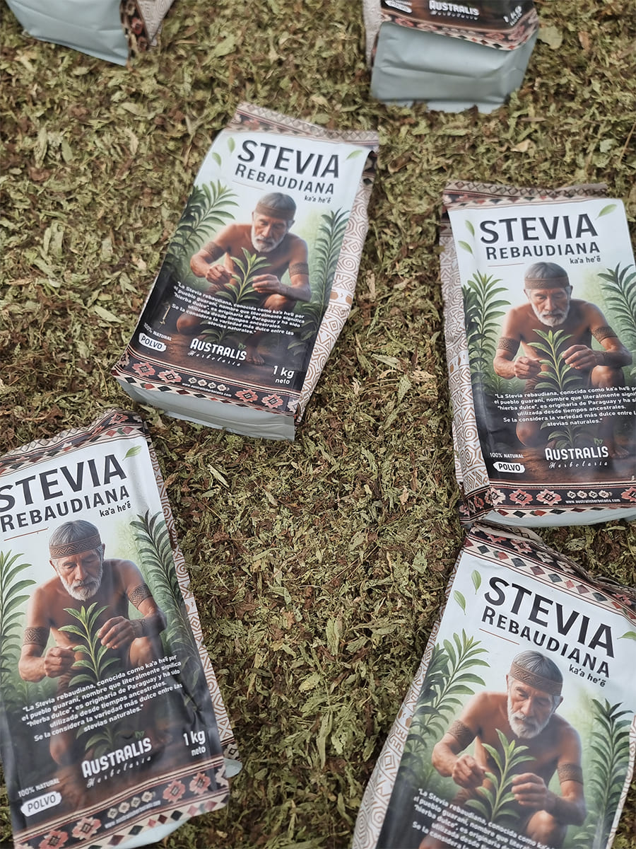 Primer plano de Stevia rebaudiana en polvo fino para venta mayorista