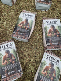 Primer plano de Stevia rebaudiana en polvo fino para venta mayorista