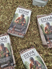 Hoja pulverizada de Stevia rebaudiana con aspecto verde y textura fina
