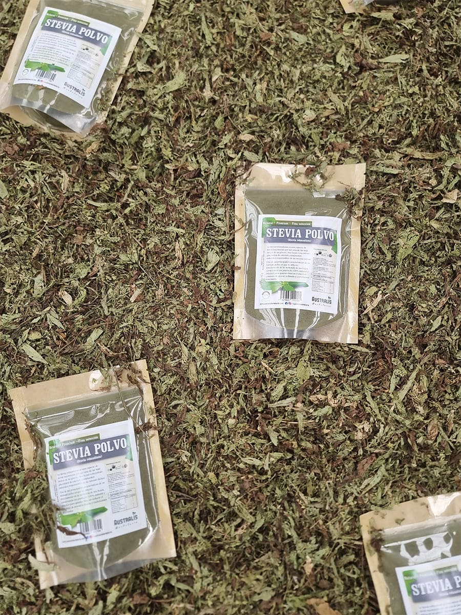 Stevia rebaudiana en polvo como endulzante vegetal para té y café