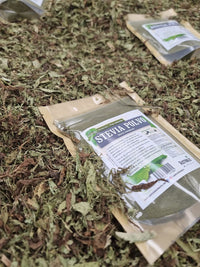 Stevia rebaudiana de hoja en presentación molida para uso culinario cotidiano