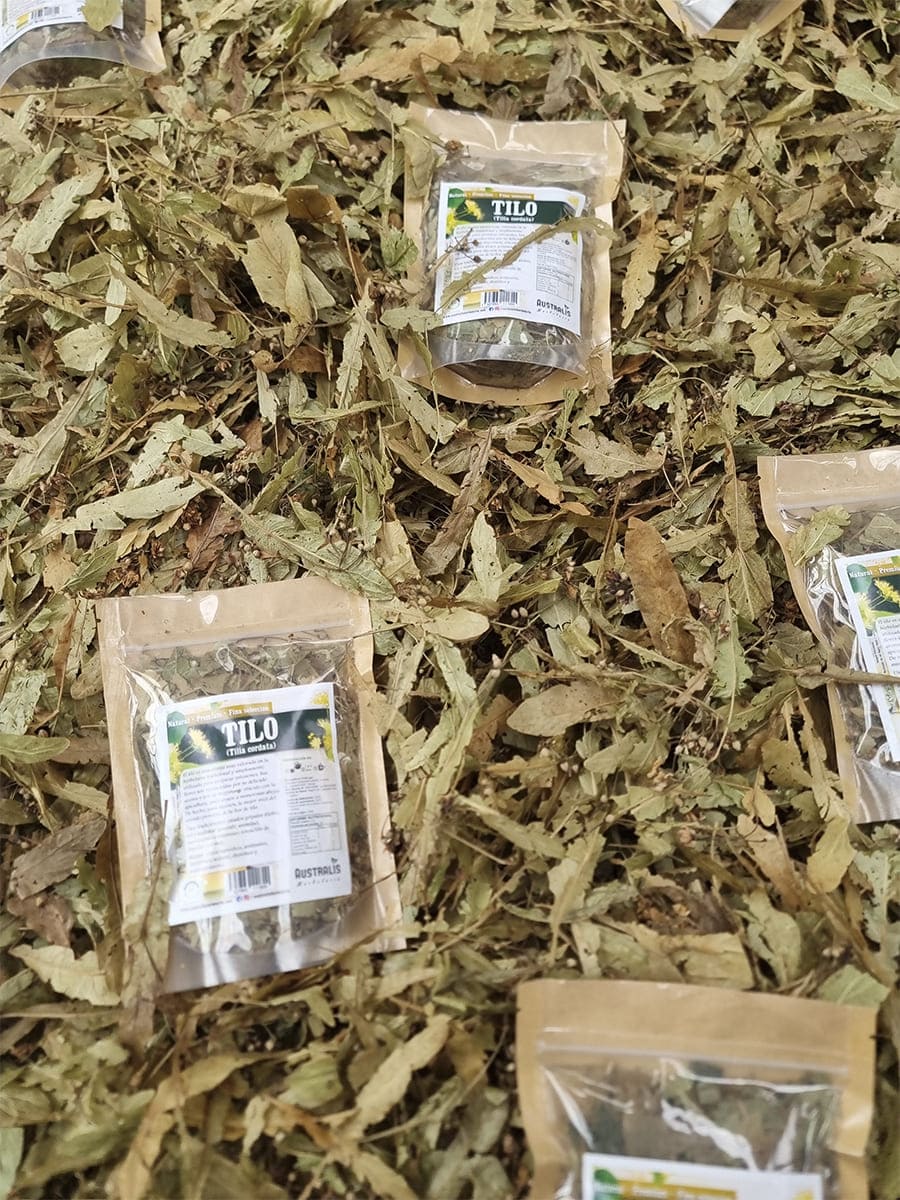 Flores y hojas secas de tilo Tilia cordata para infusión