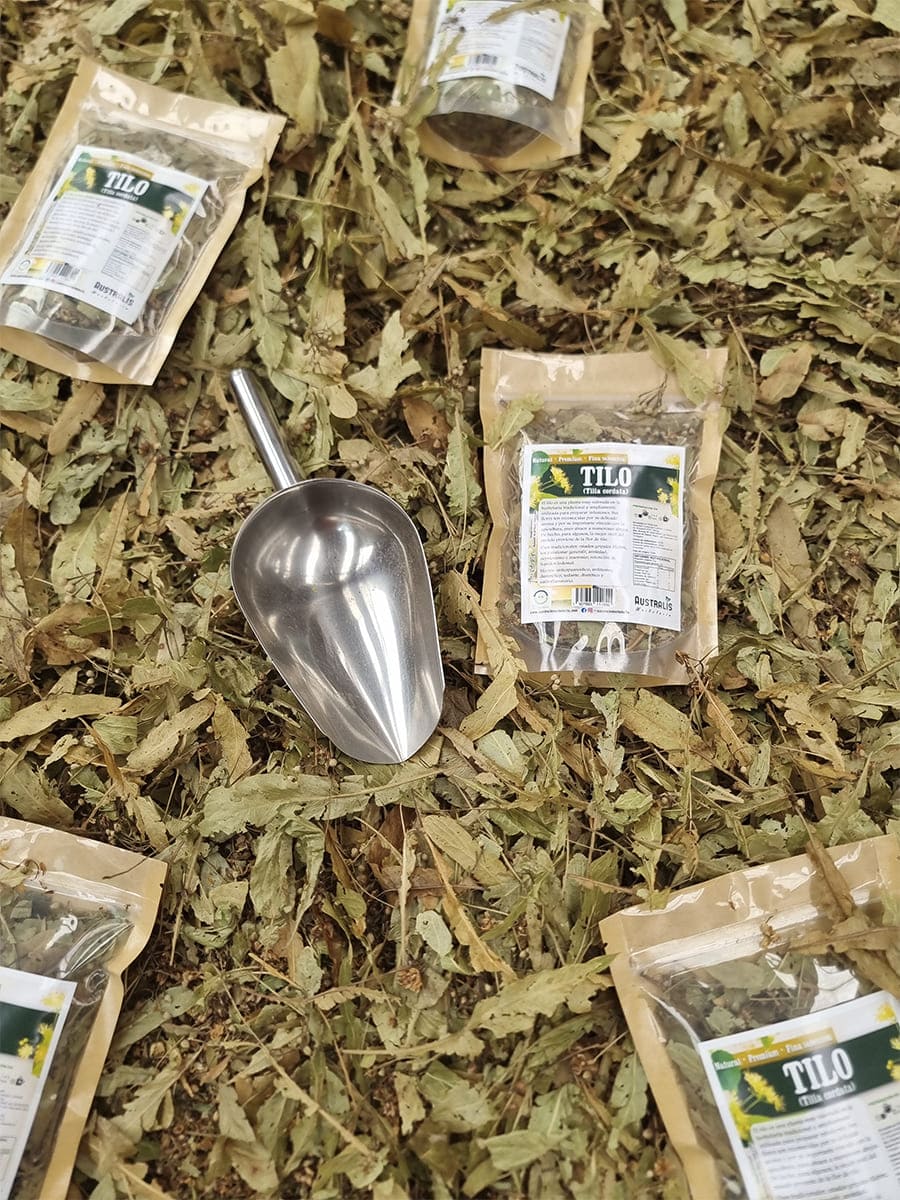 Ramitas y flores deshidratadas de tilo en primer plano