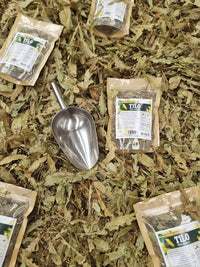 Ramitas y flores deshidratadas de tilo en primer plano