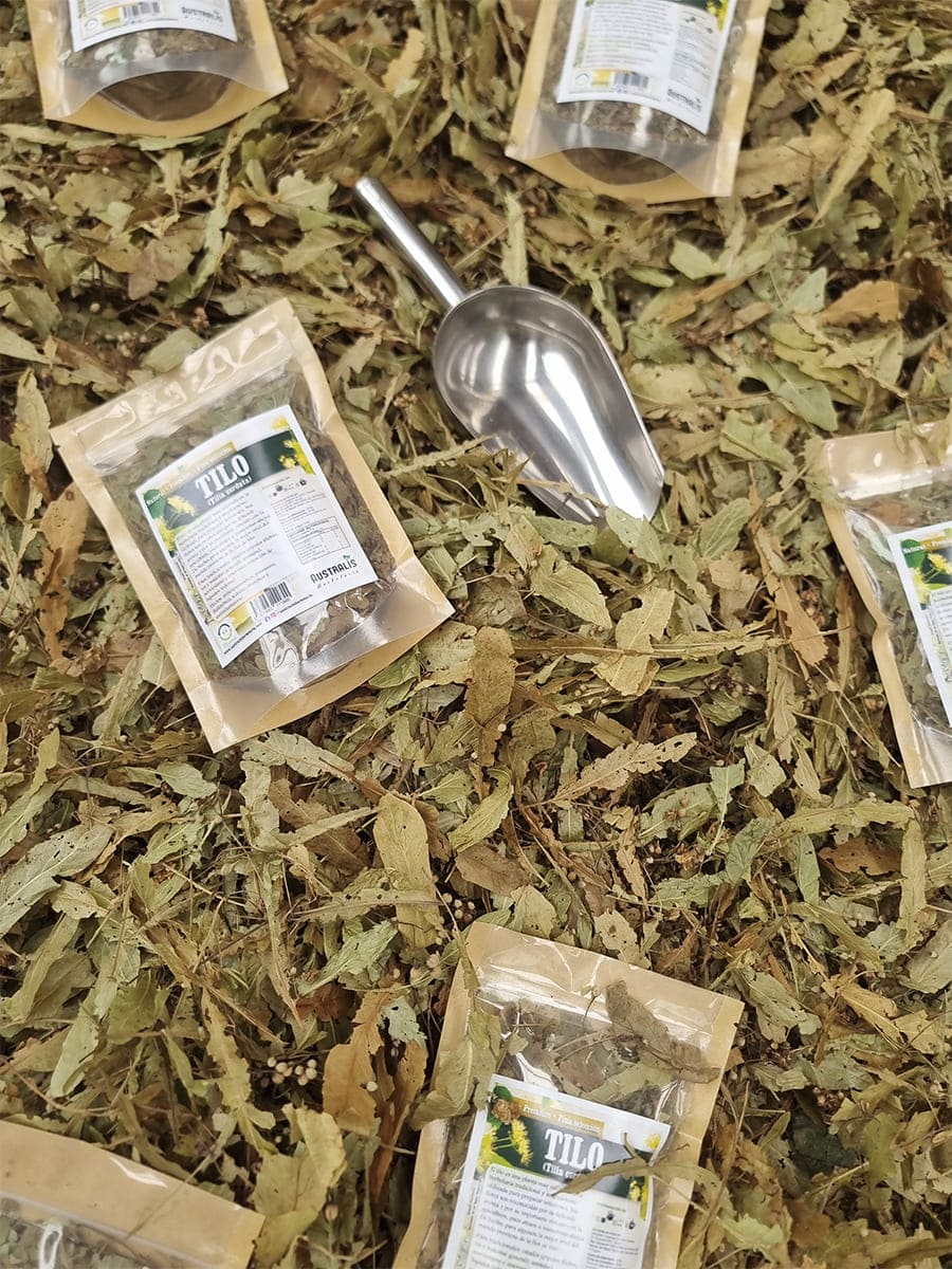 Flores y hojas de tilo listas para agregar al agua caliente