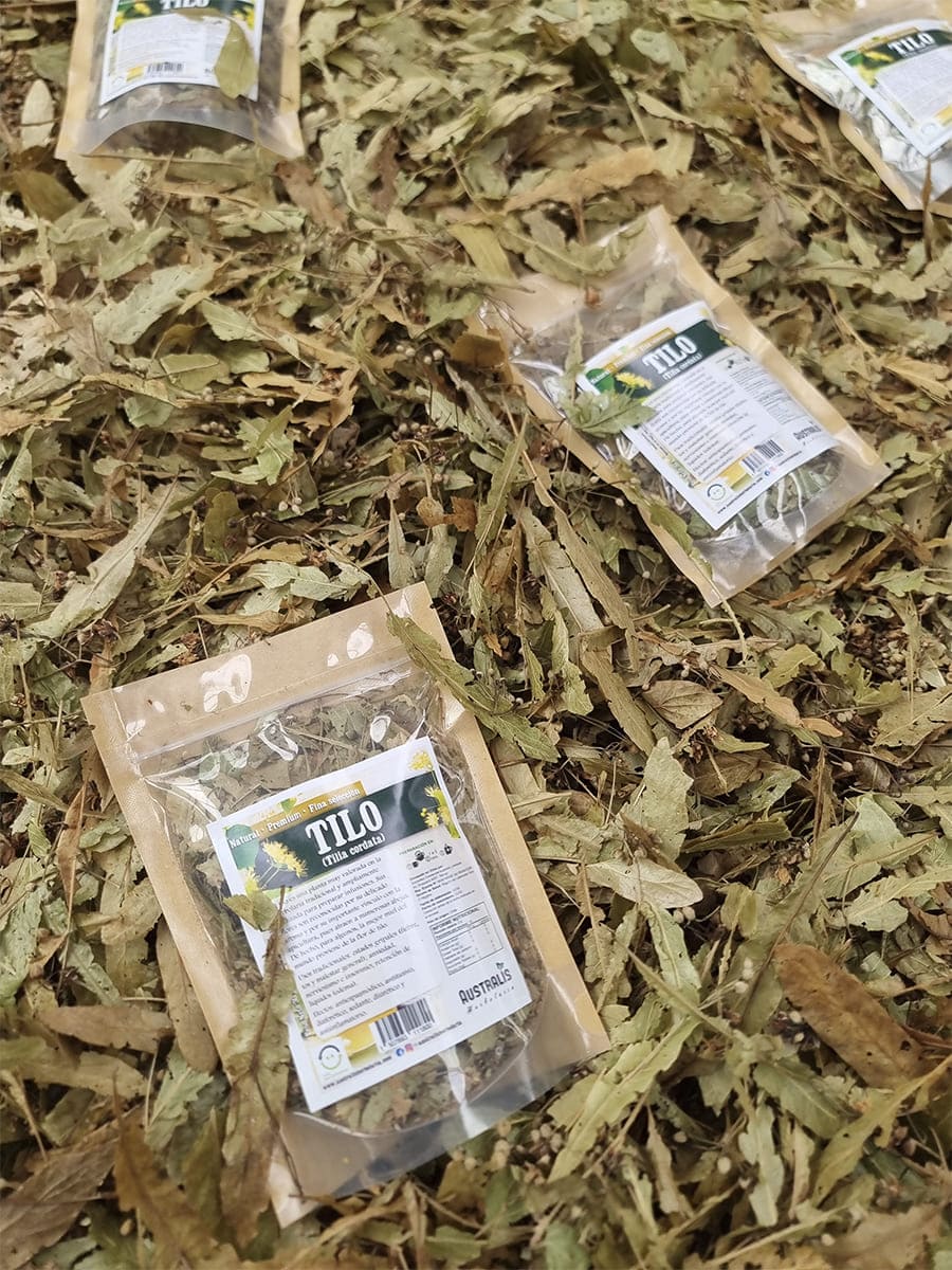 Tilia cordata vendida como hierba seca para infusión