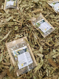 Tilia cordata vendida como hierba seca para infusión