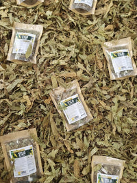 tilo hierba seca tilia infusión hojas y flores