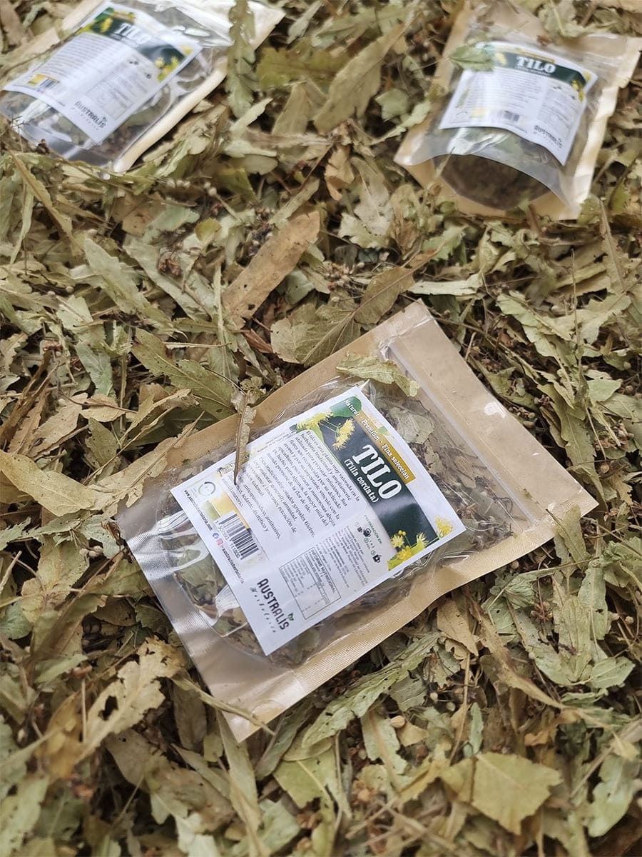Flores y hojas de Tilia cordata comercializadas como hierba seca