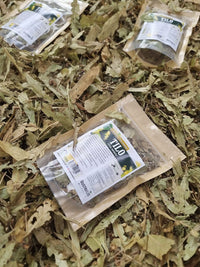 Flores y hojas de Tilia cordata comercializadas como hierba seca