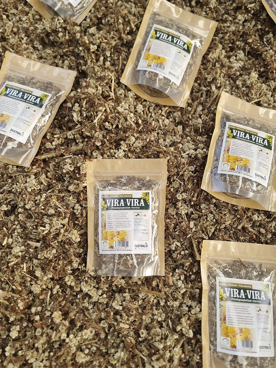 Hierba de la diuca seca para infusiones respiratorias de uso tradicional chileno