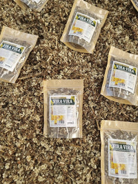 Hierba de la diuca seca para infusiones respiratorias de uso tradicional chileno